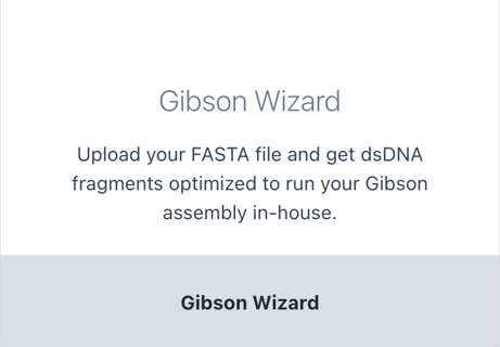 gibsonwizard 2022-11-10 at 09.29.42