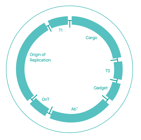 Plasmid Nom Map