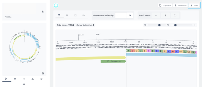 access files from sequence viewer